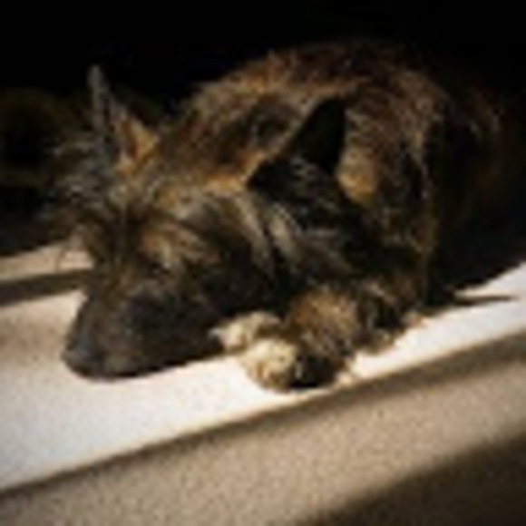 Meet your Posher, M. - Picture 1 of 1